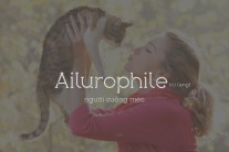 ailurophile.html